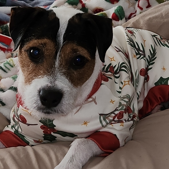 @bethybd LIVE Sat., Jan 17 422pmEST Valentine's Gifts & Colors Red, Pink, White - Picture 3 of 15